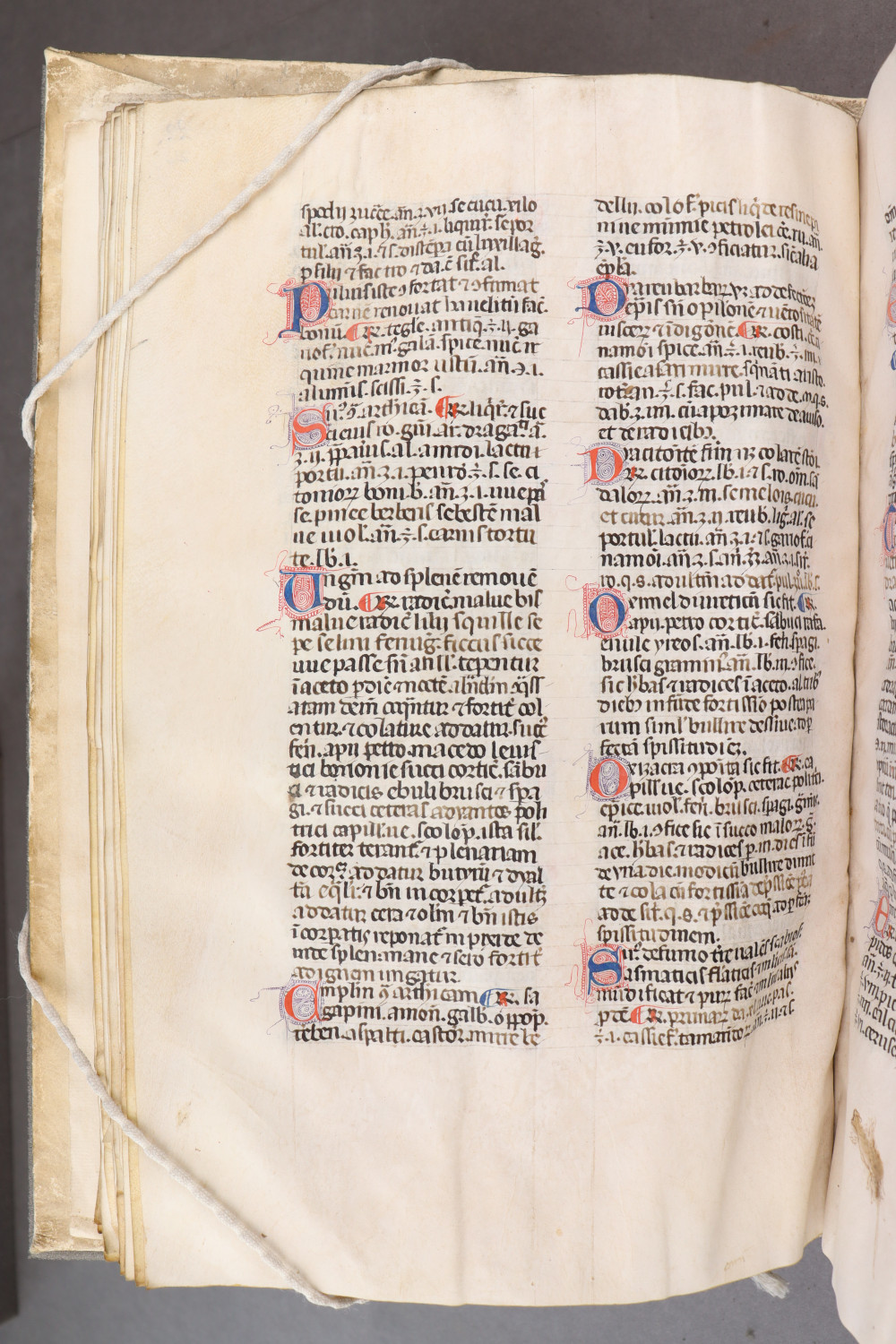 Folio 26 verso