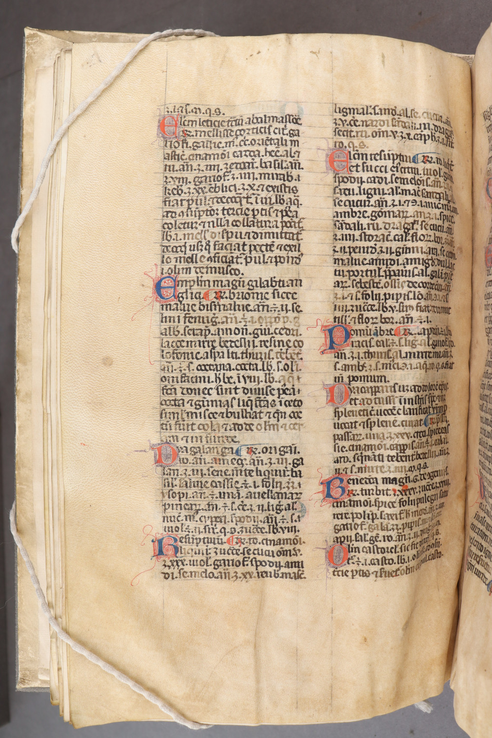 Folio 27 verso