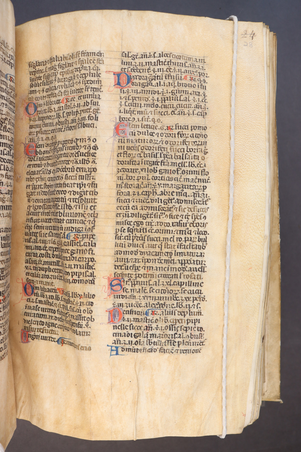 Folio 28 recto
