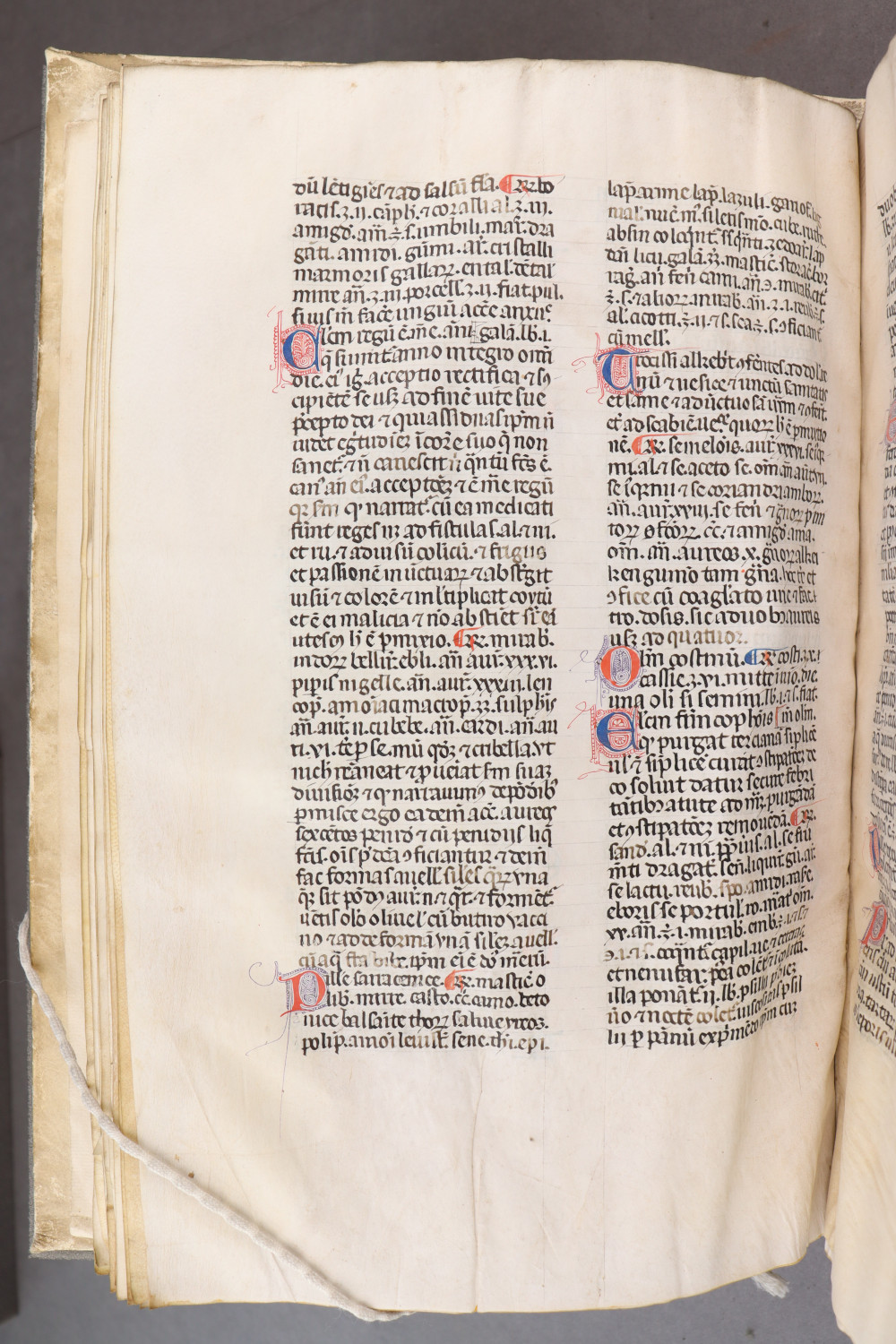Folio 28 verso