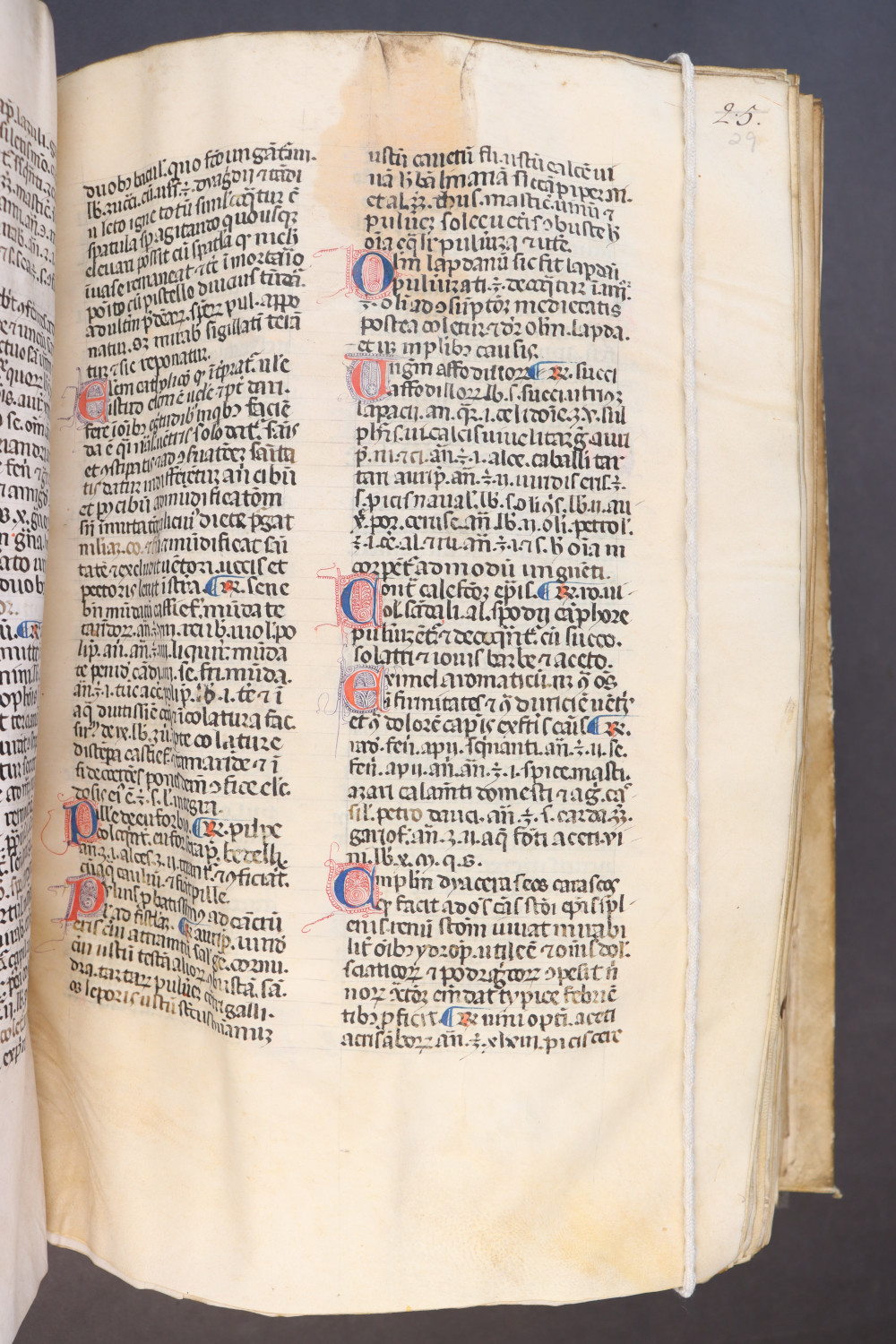 Folio 29 recto