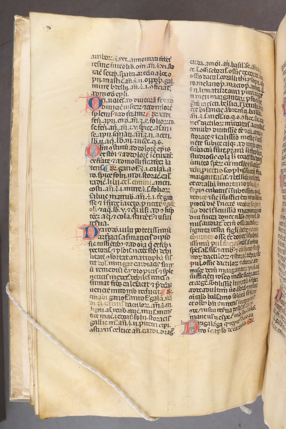 Folio 29 verso