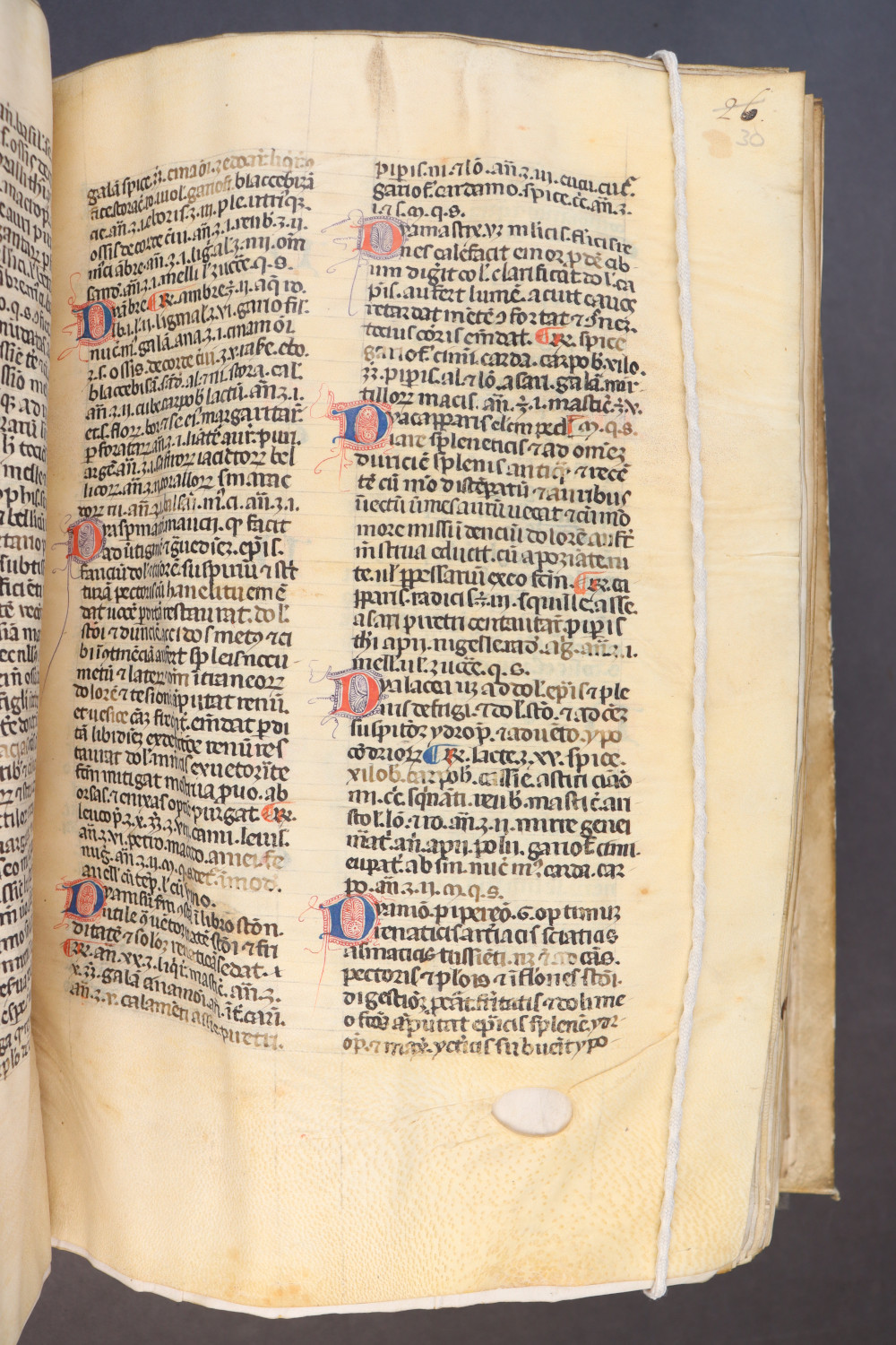 Folio 30 recto