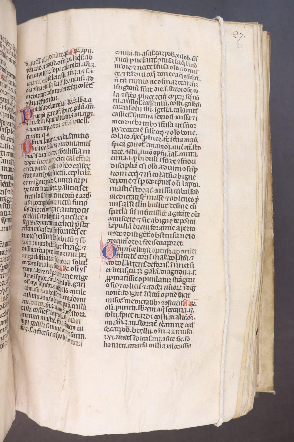 Folio 31 recto