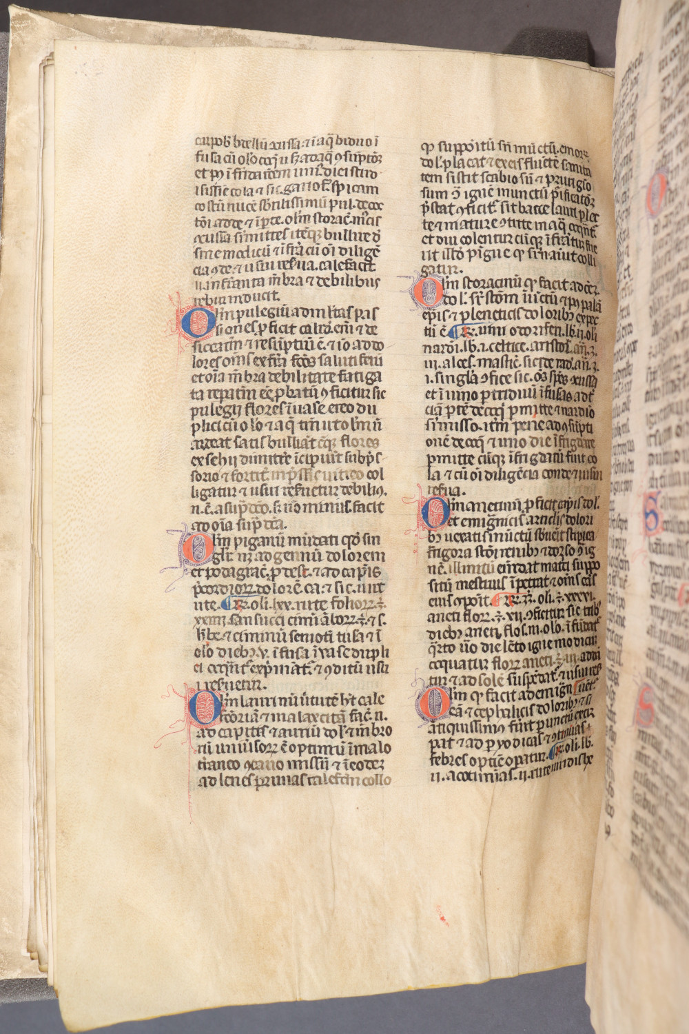 Folio 31 verso