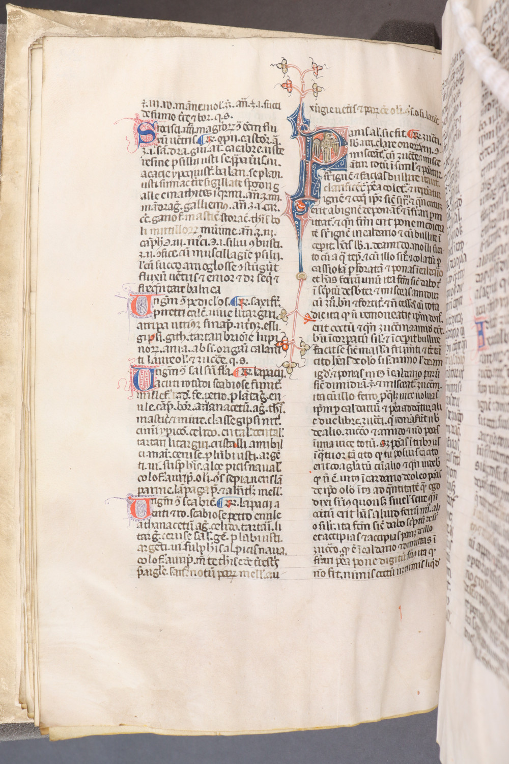 Folio 32 verso