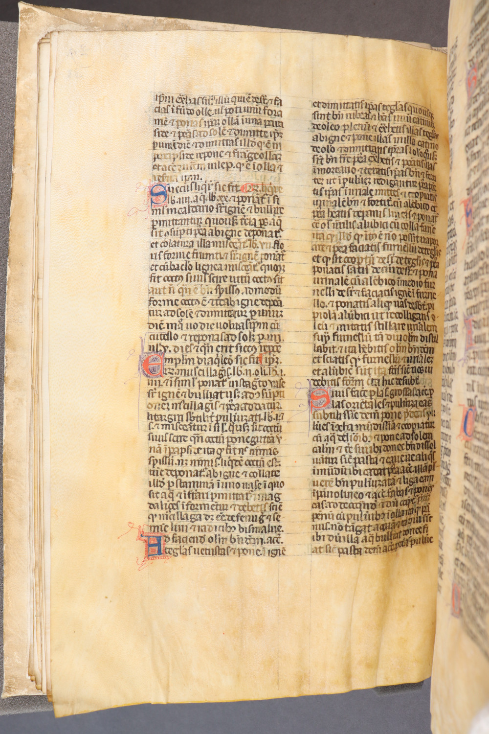 Folio 33 verso