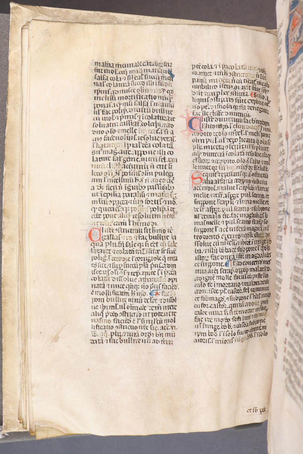Folio 34 verso