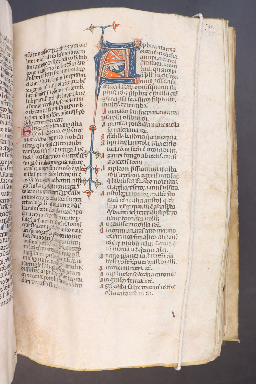 Folio 35 recto