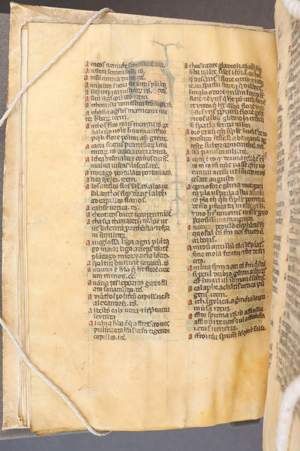 Folio 35 verso