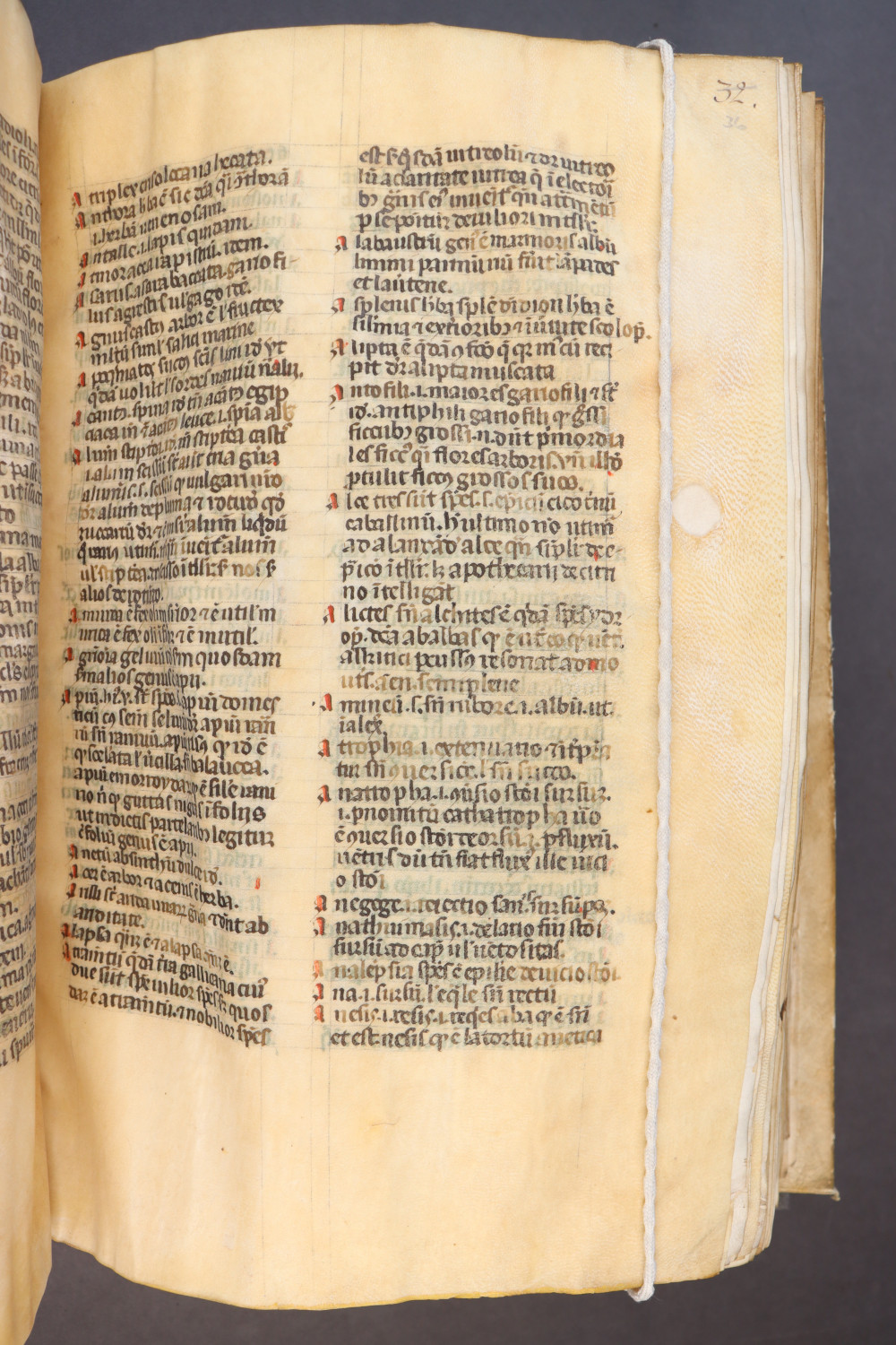 Folio 36 recto