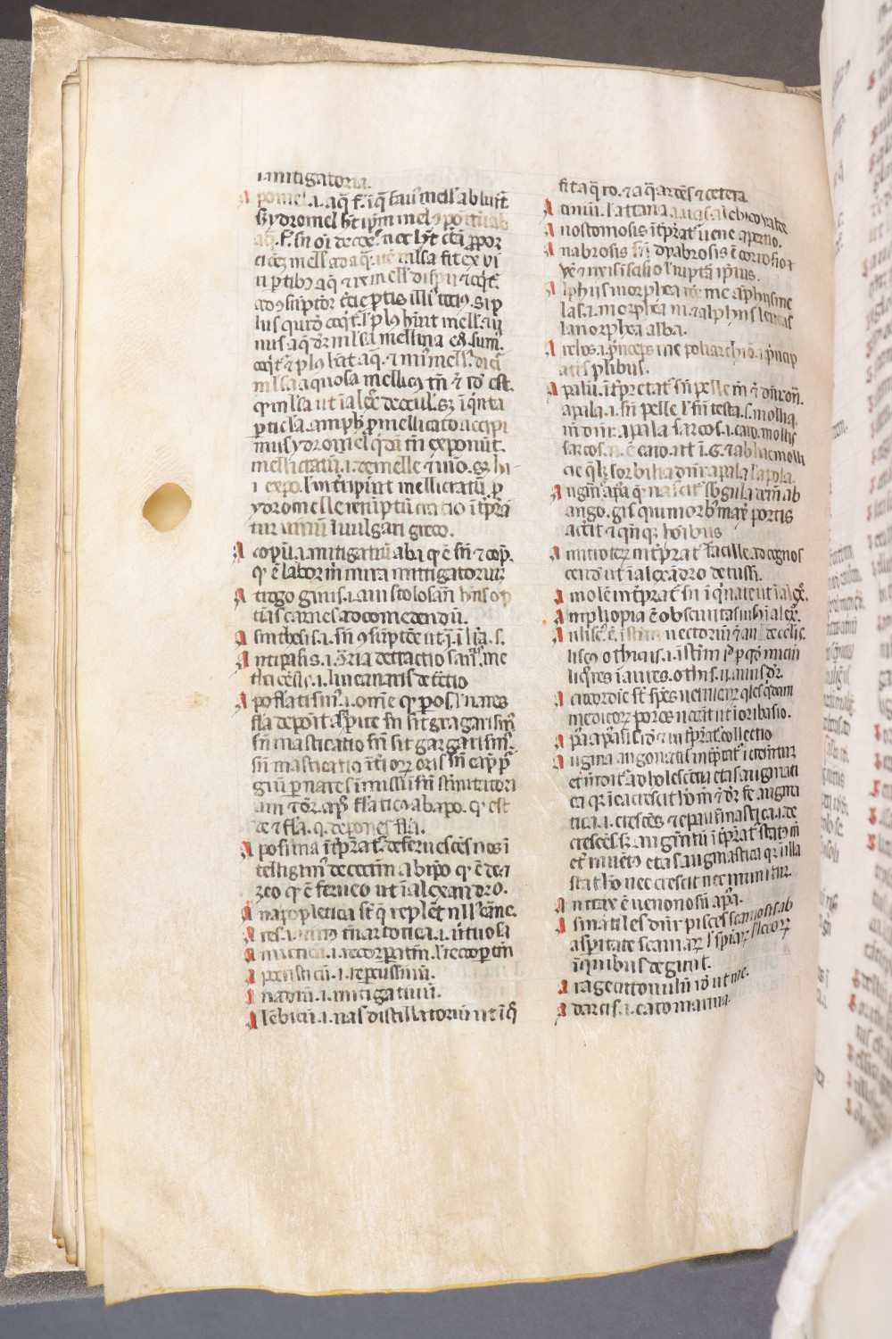 Folio 36 verso