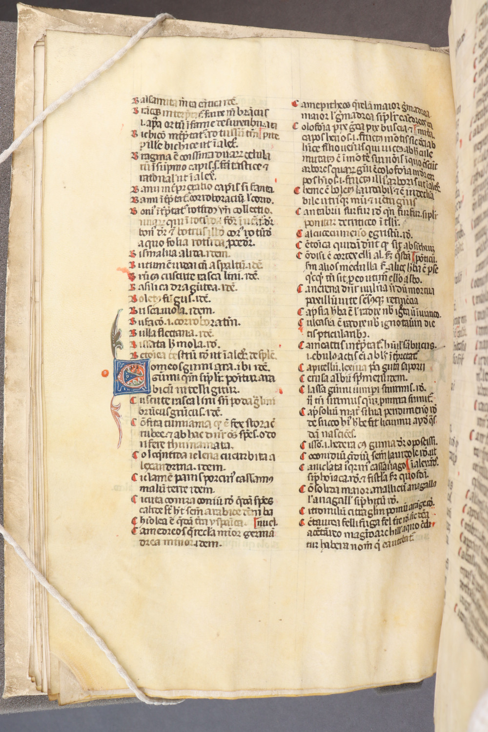 Folio 37 verso