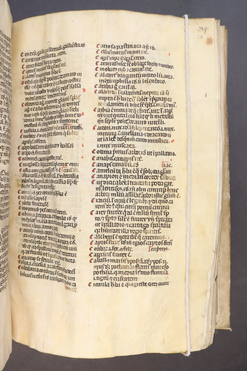 Folio 38 recto