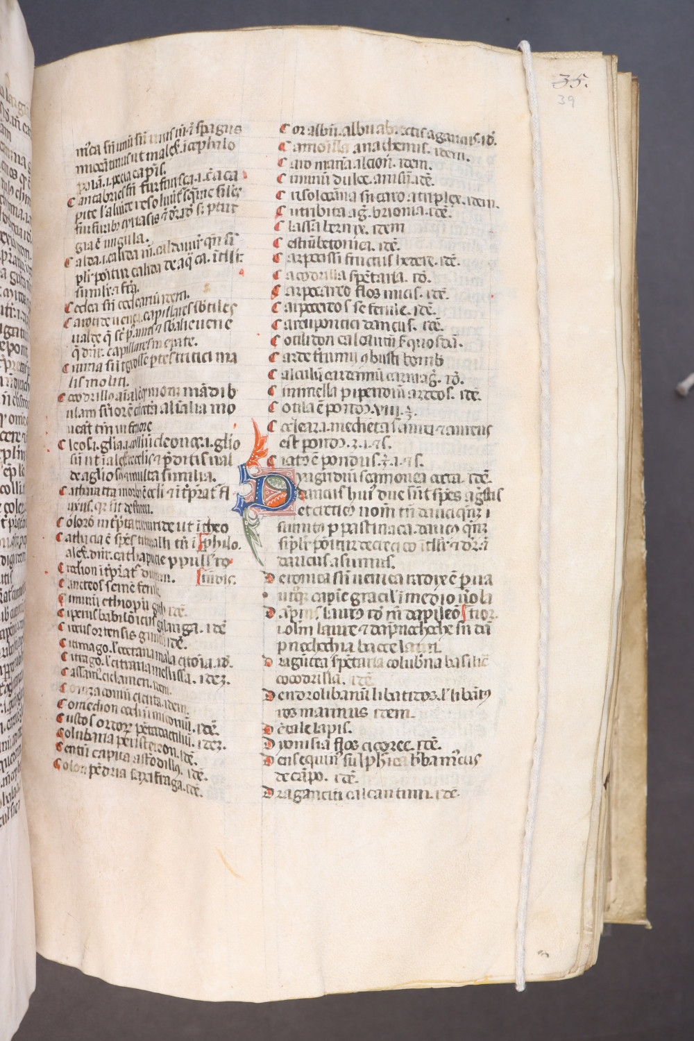 Folio 39 recto