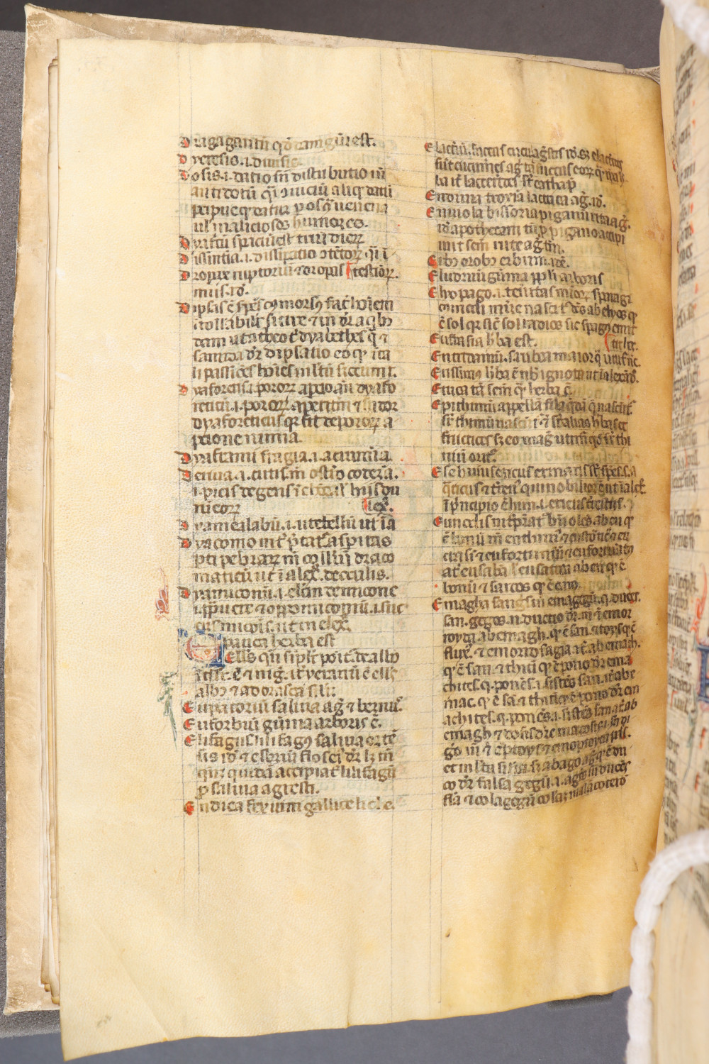 Folio 39 verso