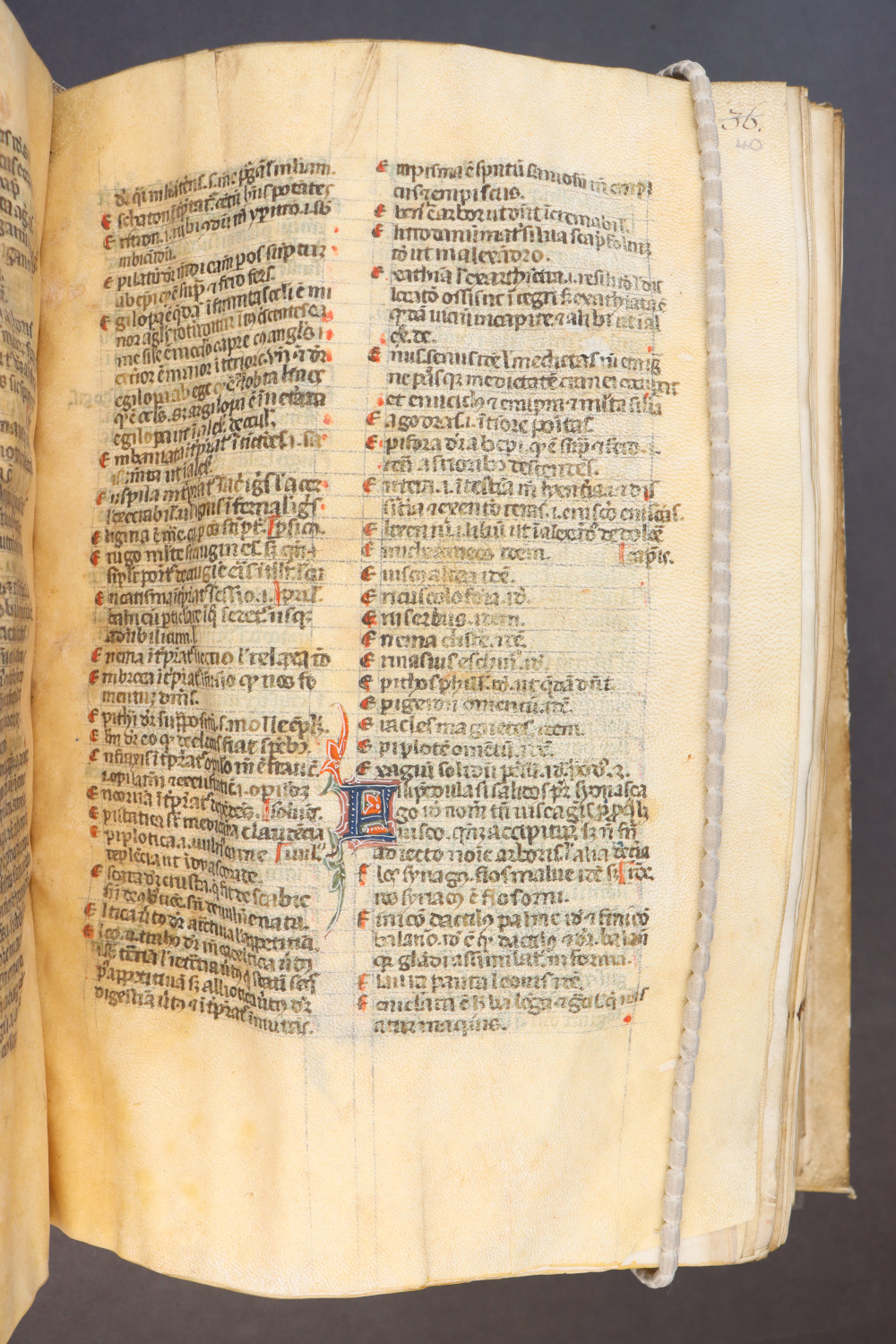 Folio 40 recto