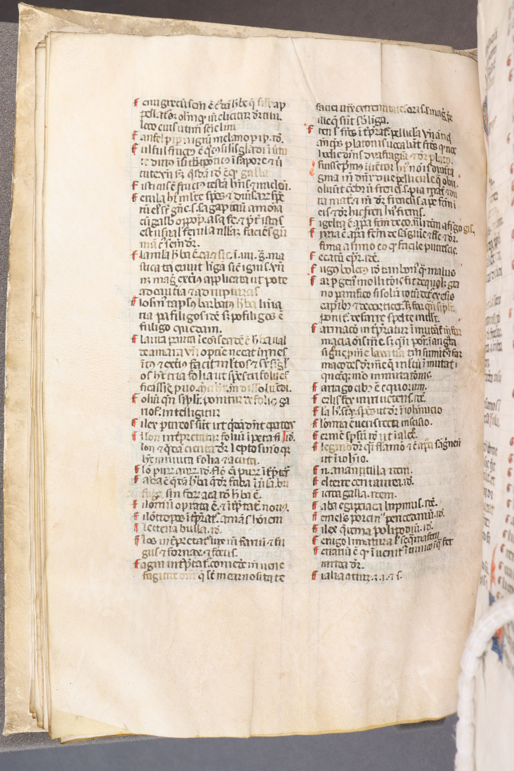 Folio 40 verso