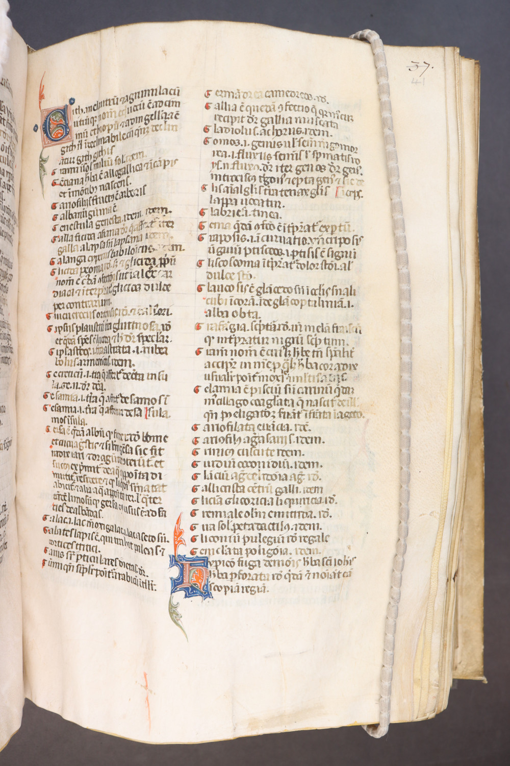 Folio 41 recto