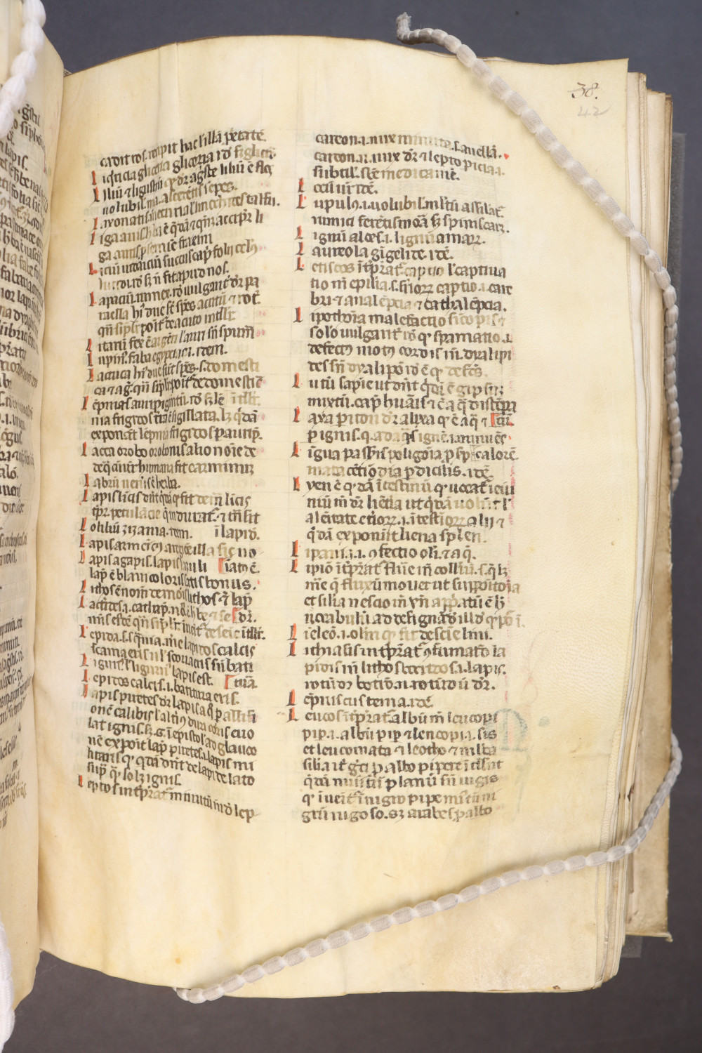 Folio 42 recto