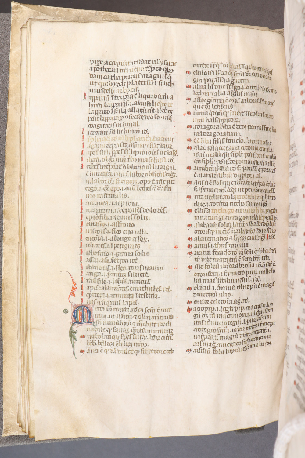 Folio 42 verso