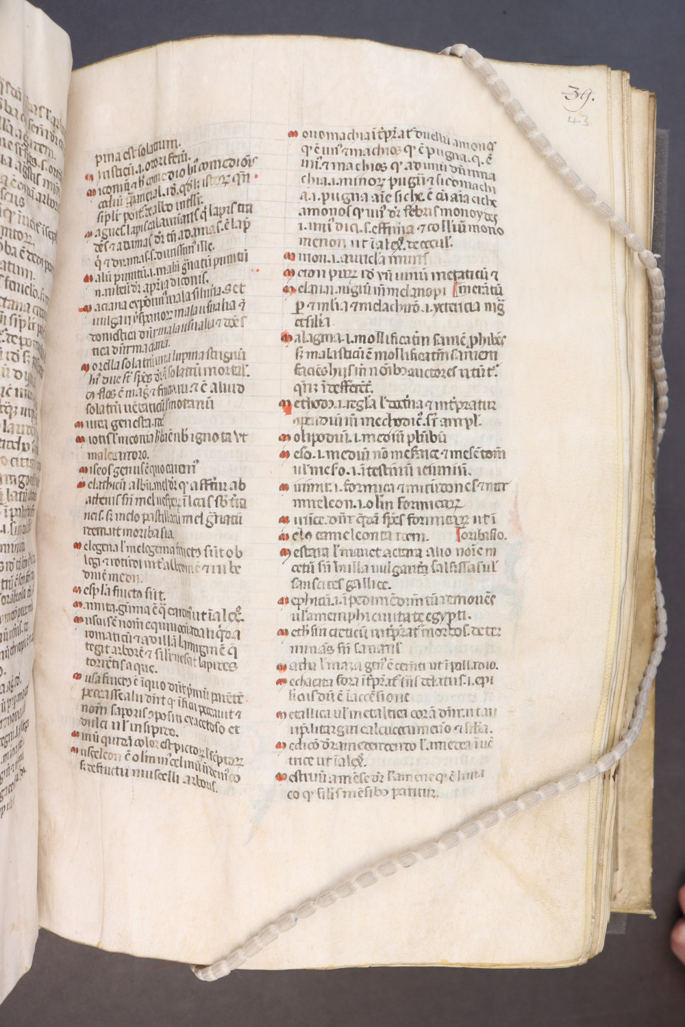 Folio 43 recto