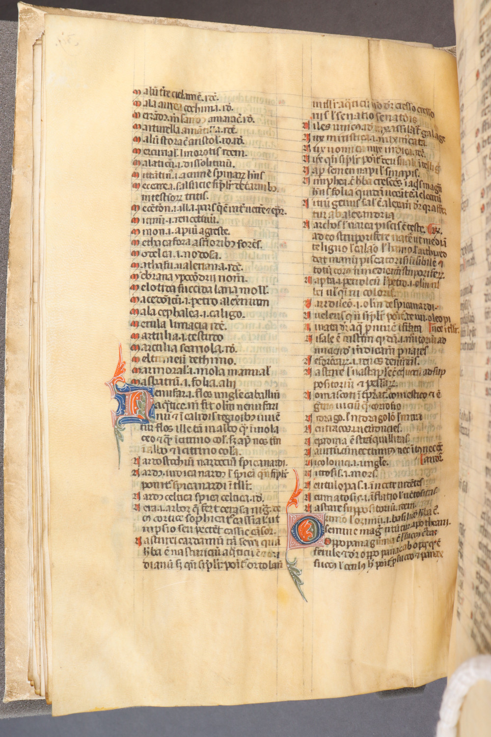 Folio 43 verso