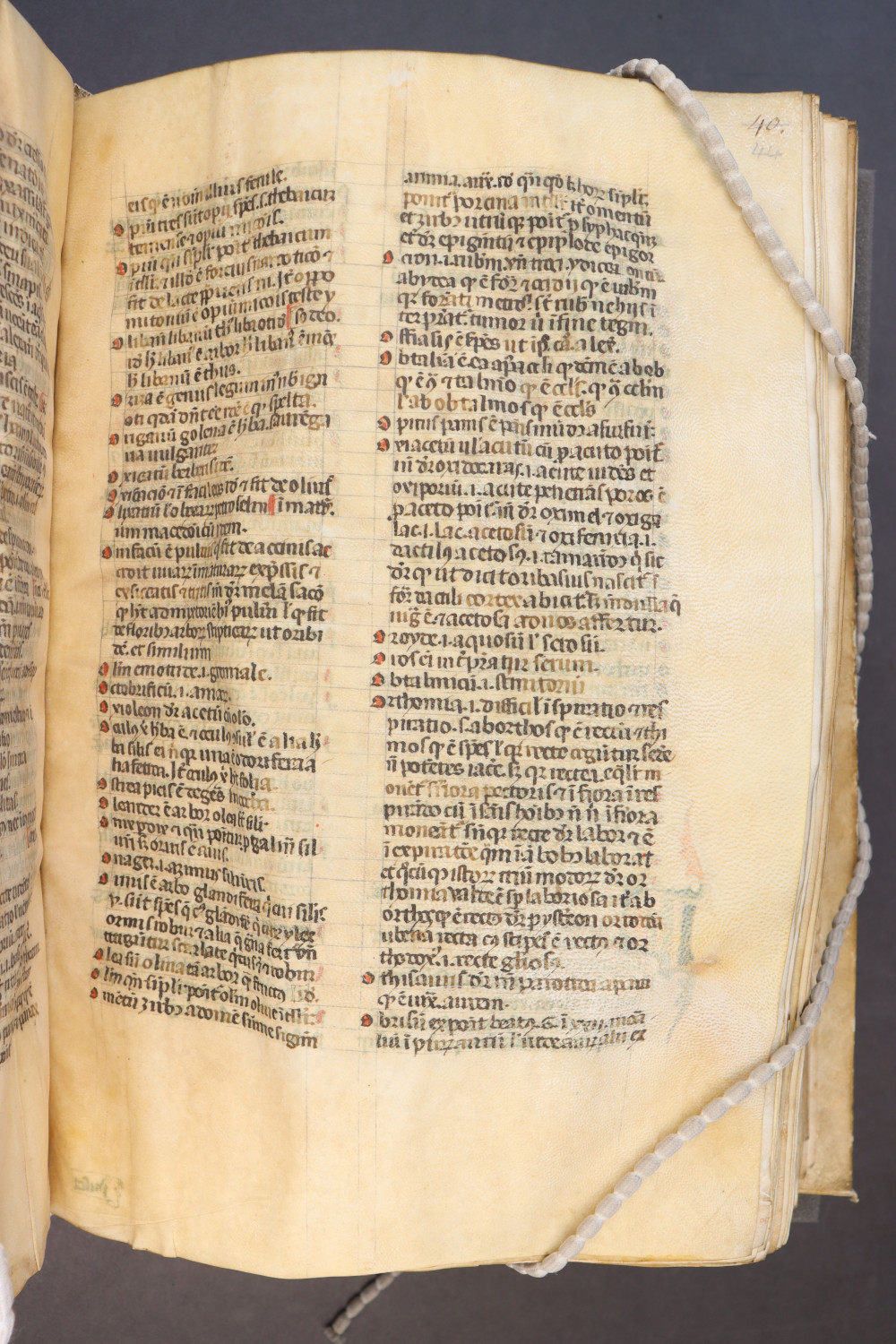 Folio 44 recto