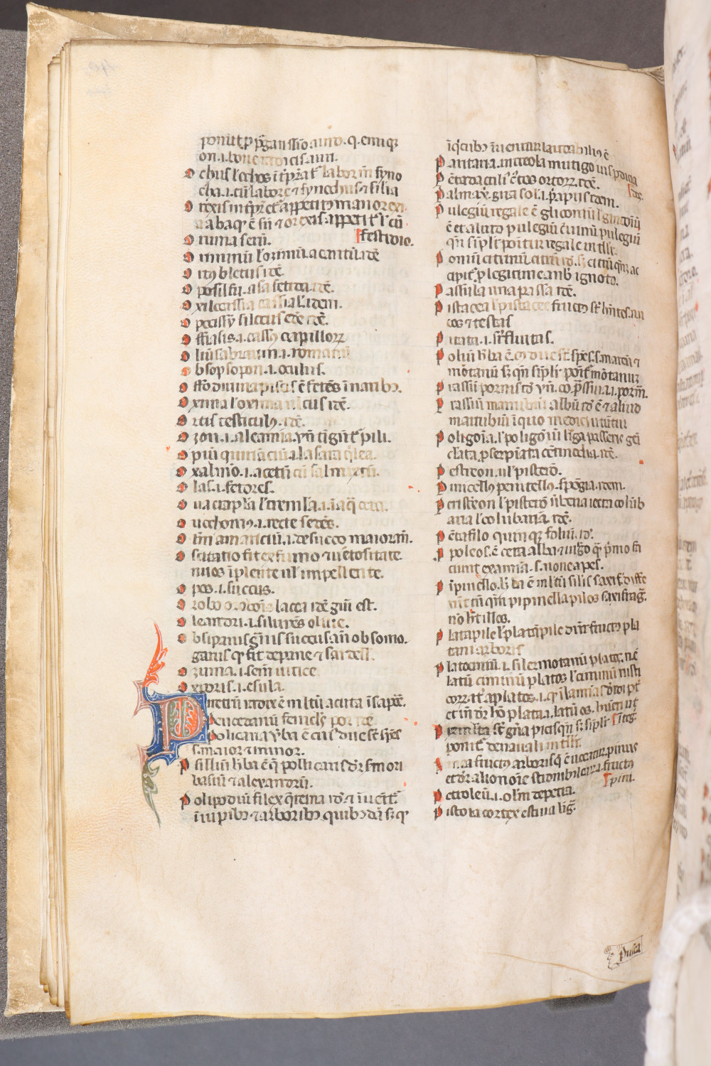 Folio 44 verso