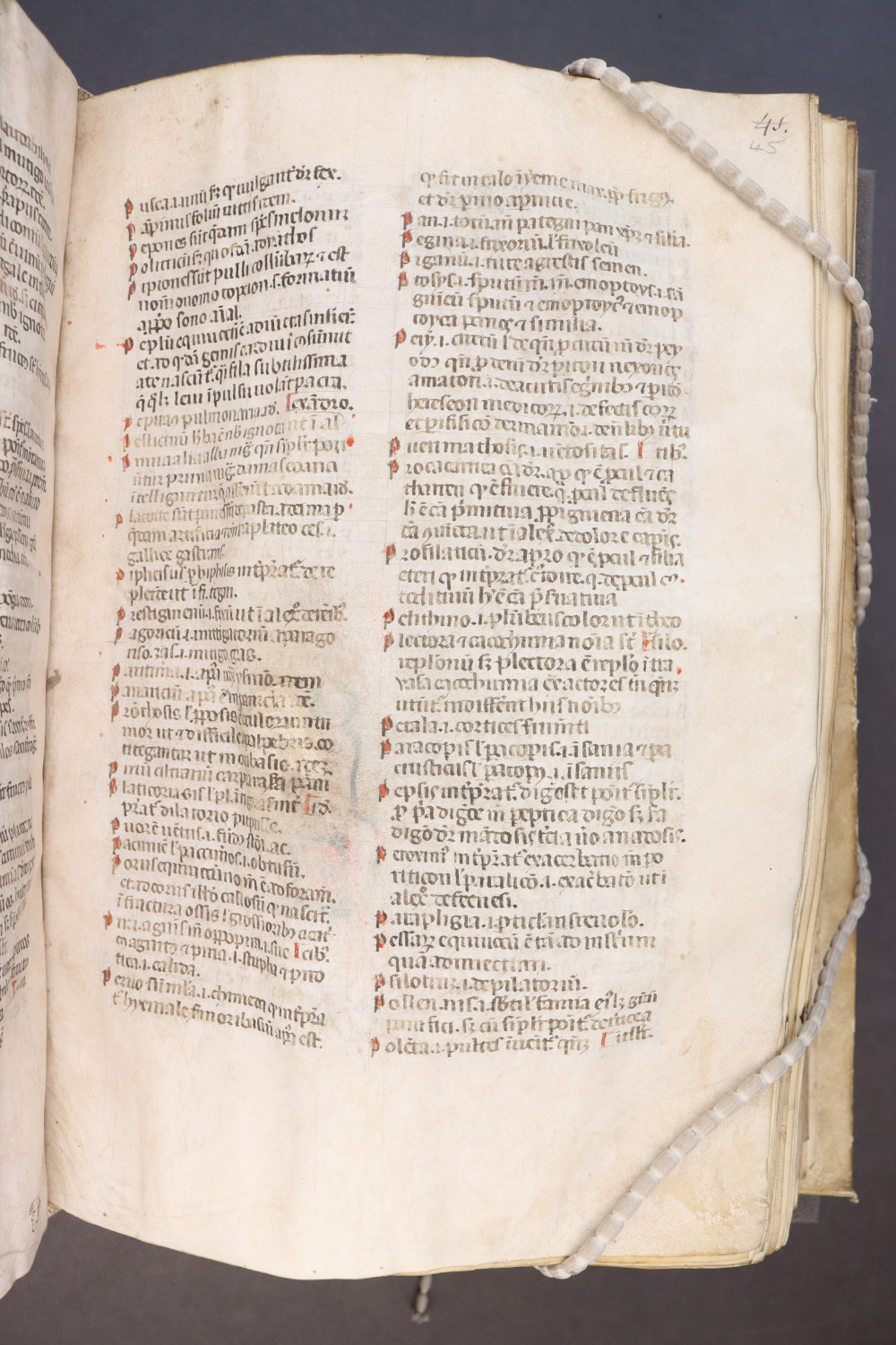Folio 45 recto