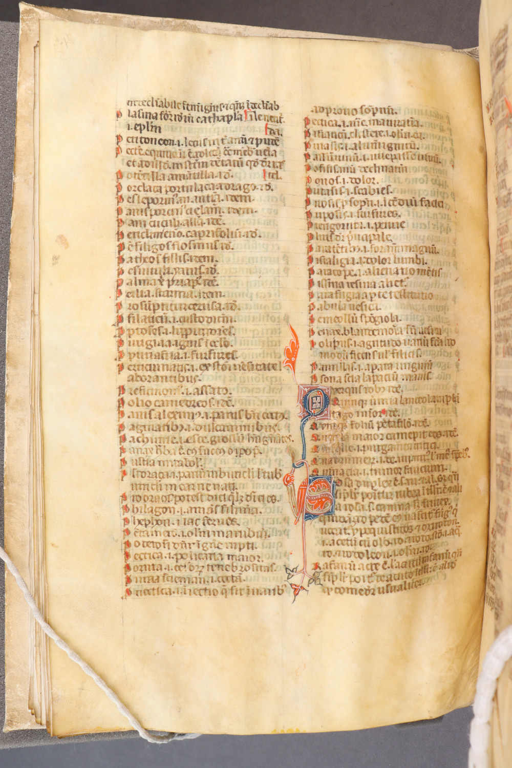 Folio 45 verso