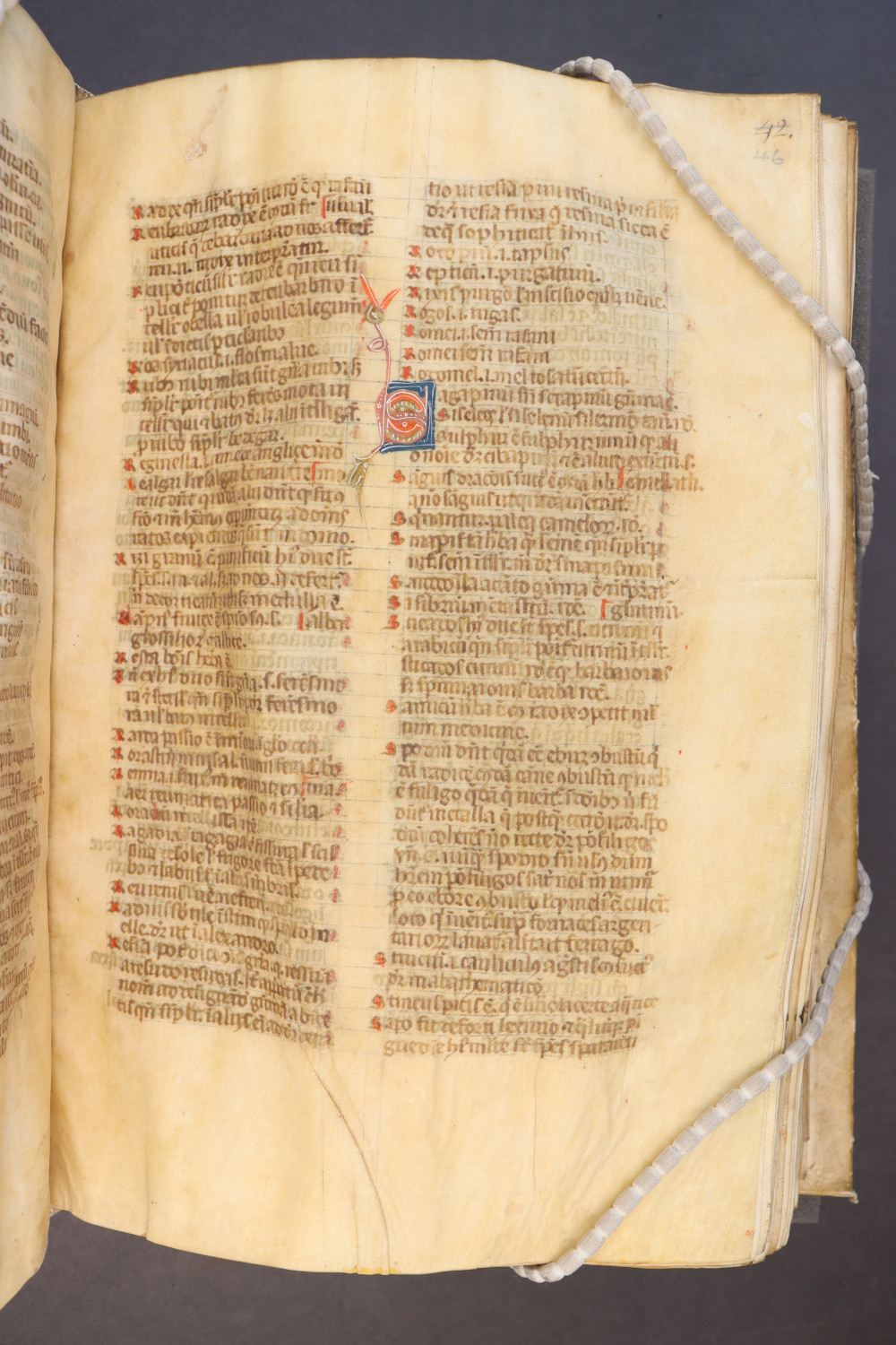Folio 46 recto
