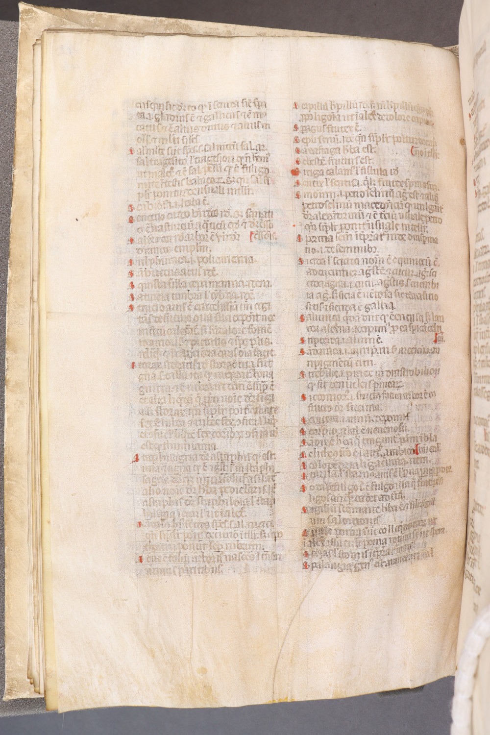 Folio 46 verso