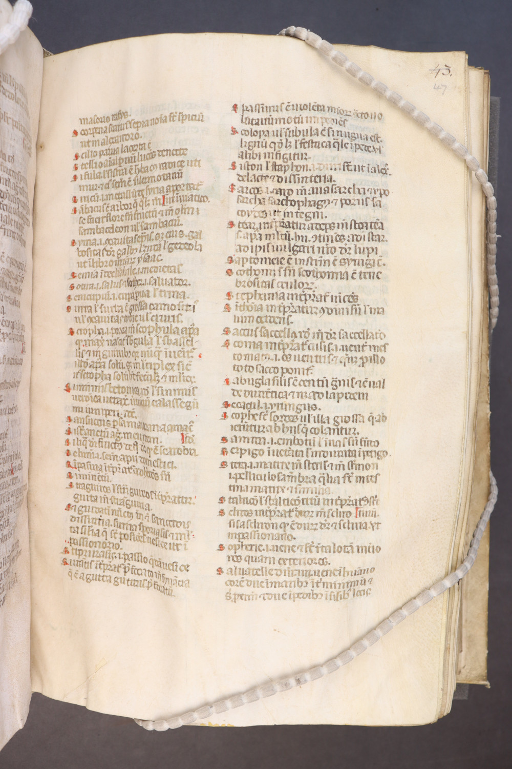 Folio 47 recto