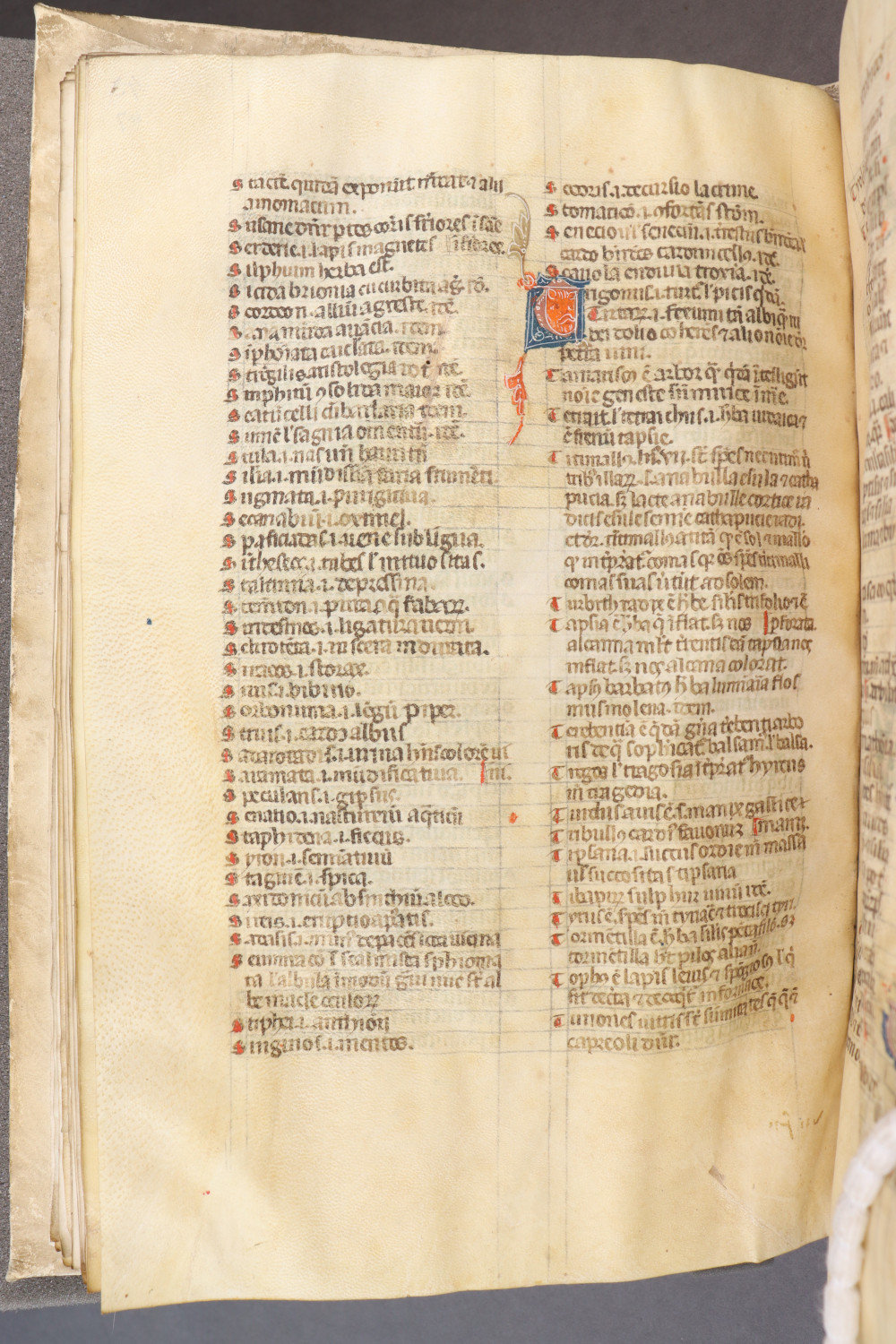 Folio 47 verso