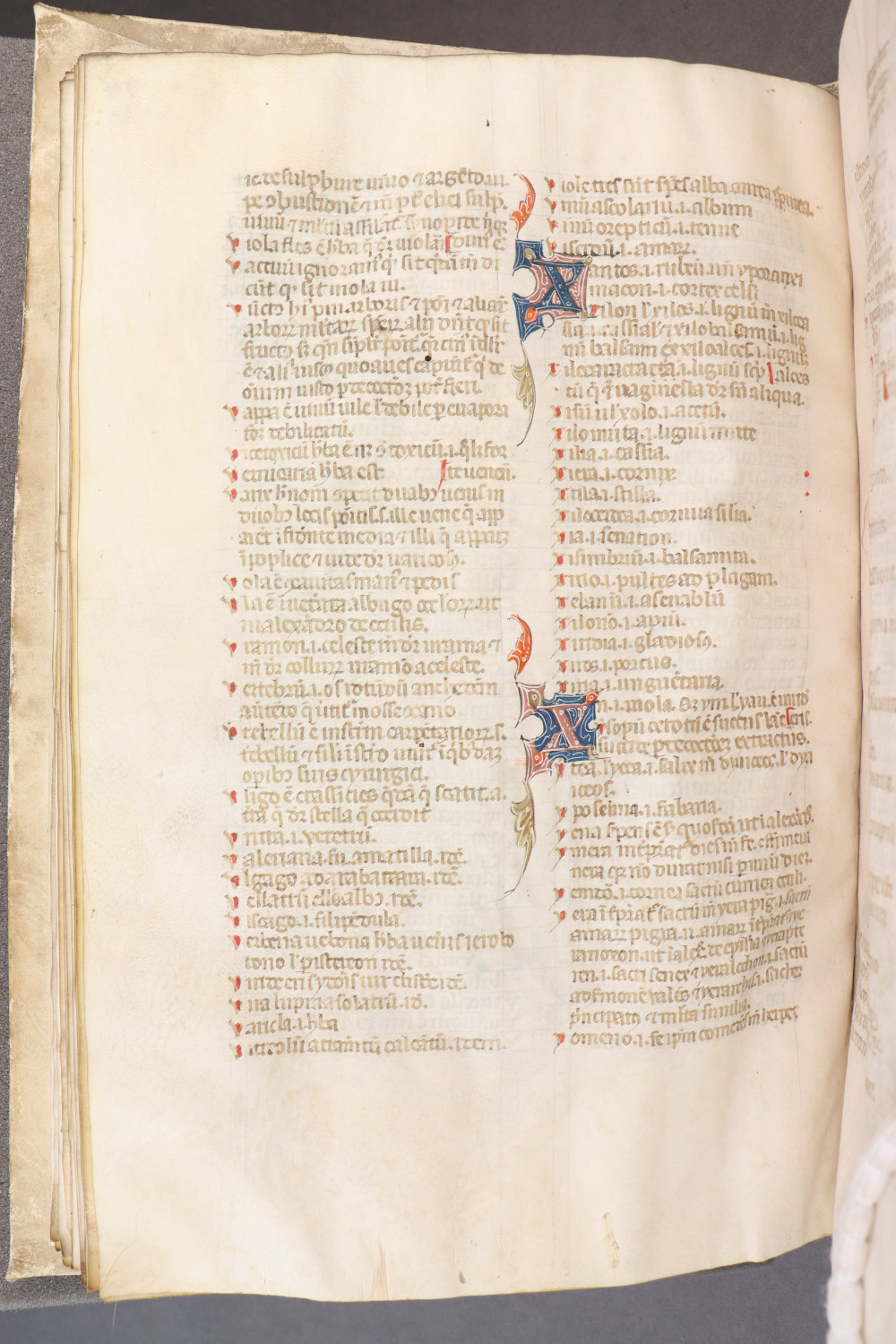 Folio 48 verso