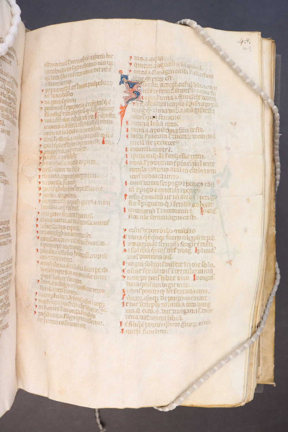 Folio 49 recto