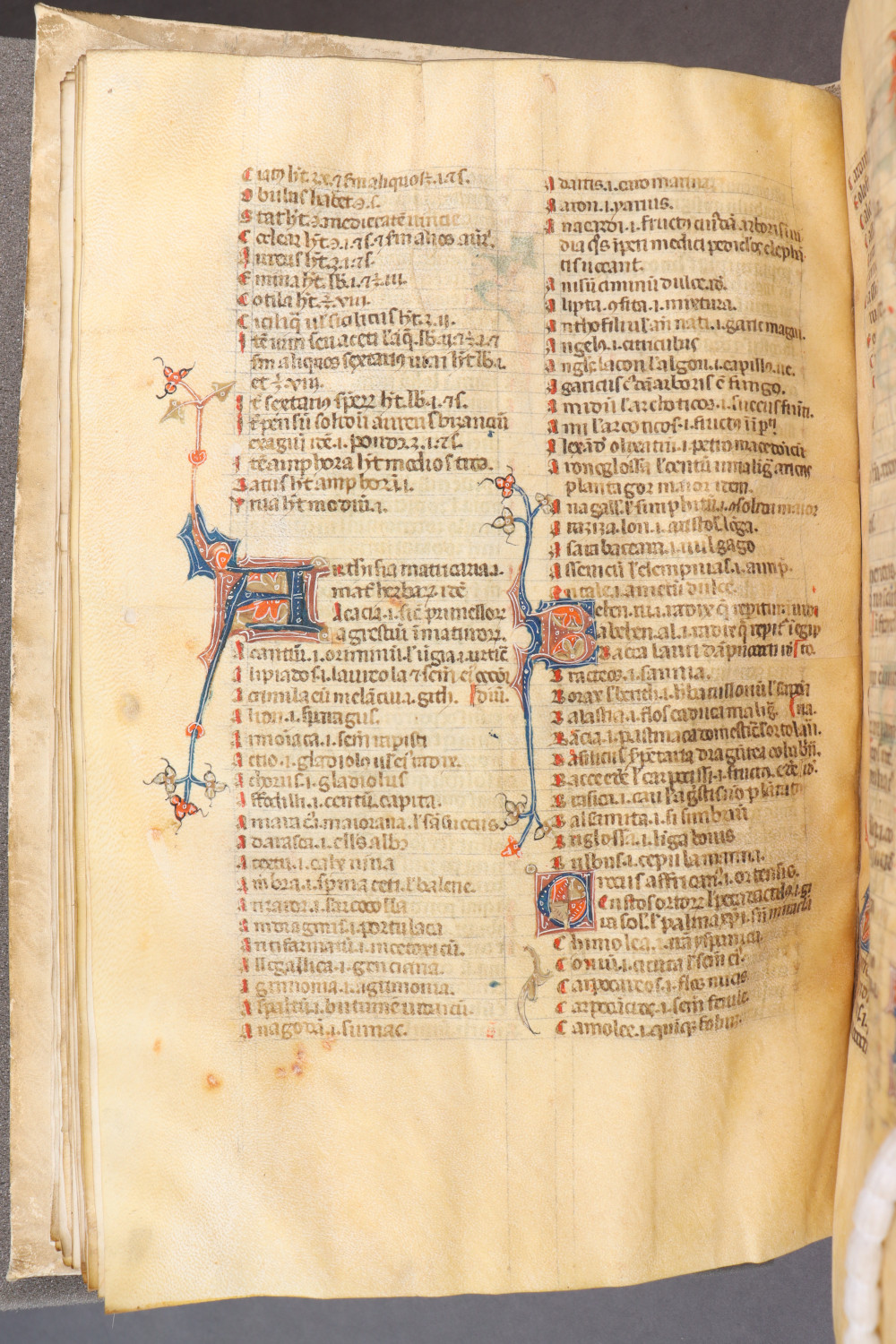 Folio 49 verso