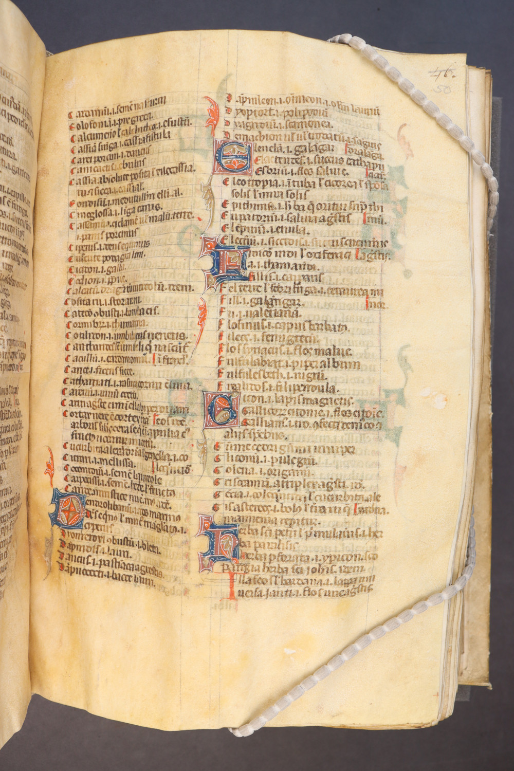 Folio 50 recto