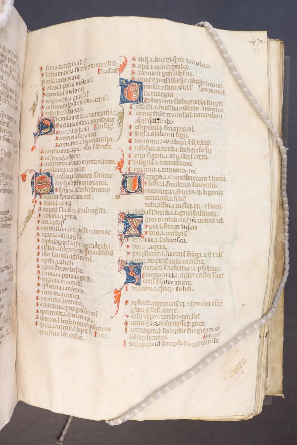 Folio 51 recto