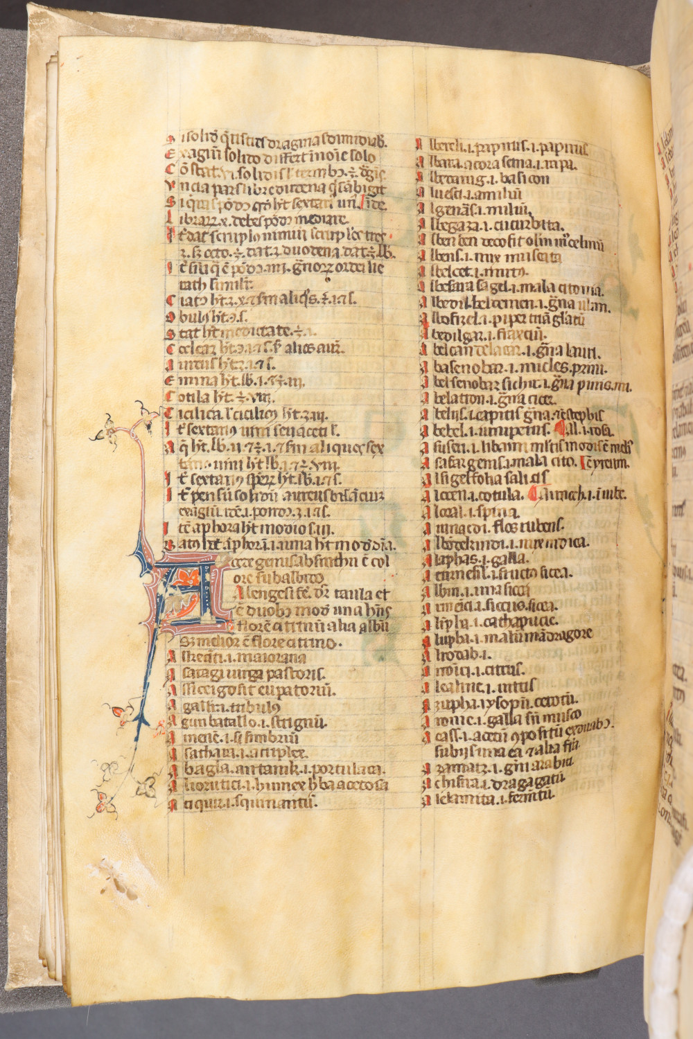 Folio 51 verso