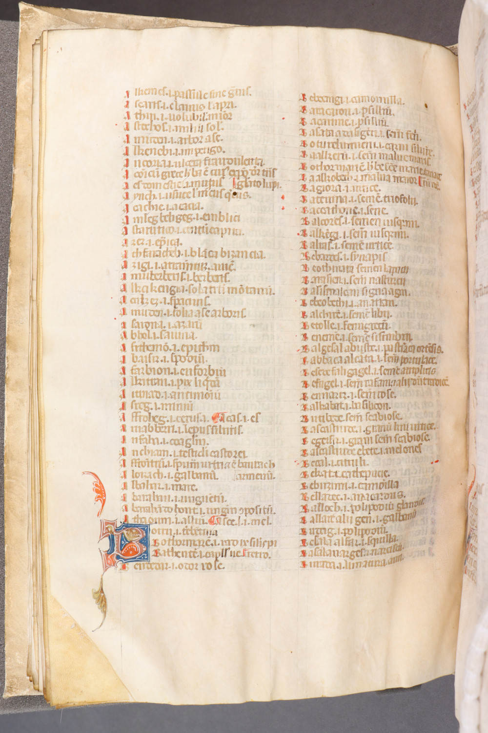 Folio 52 verso