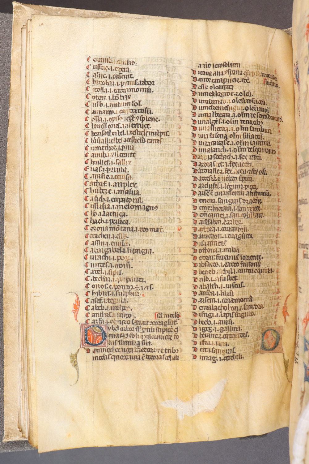 Folio 53 verso