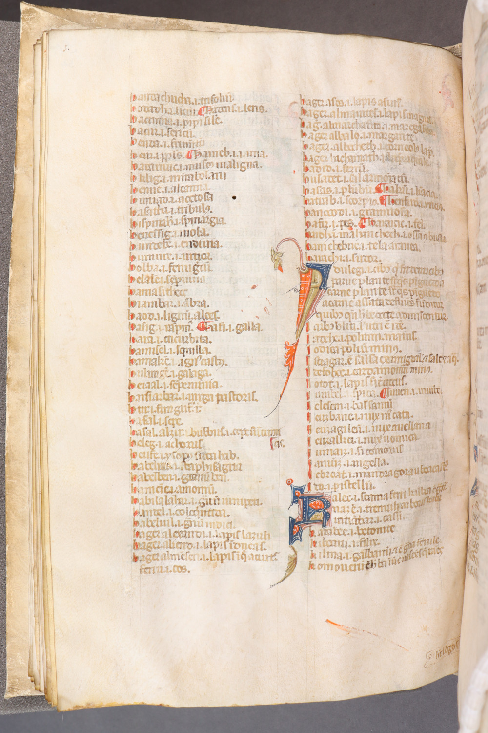 Folio 54 verso
