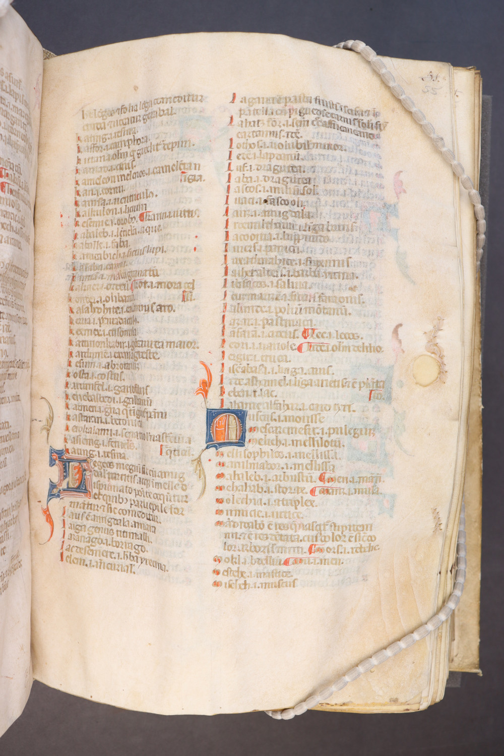 Folio 55 recto