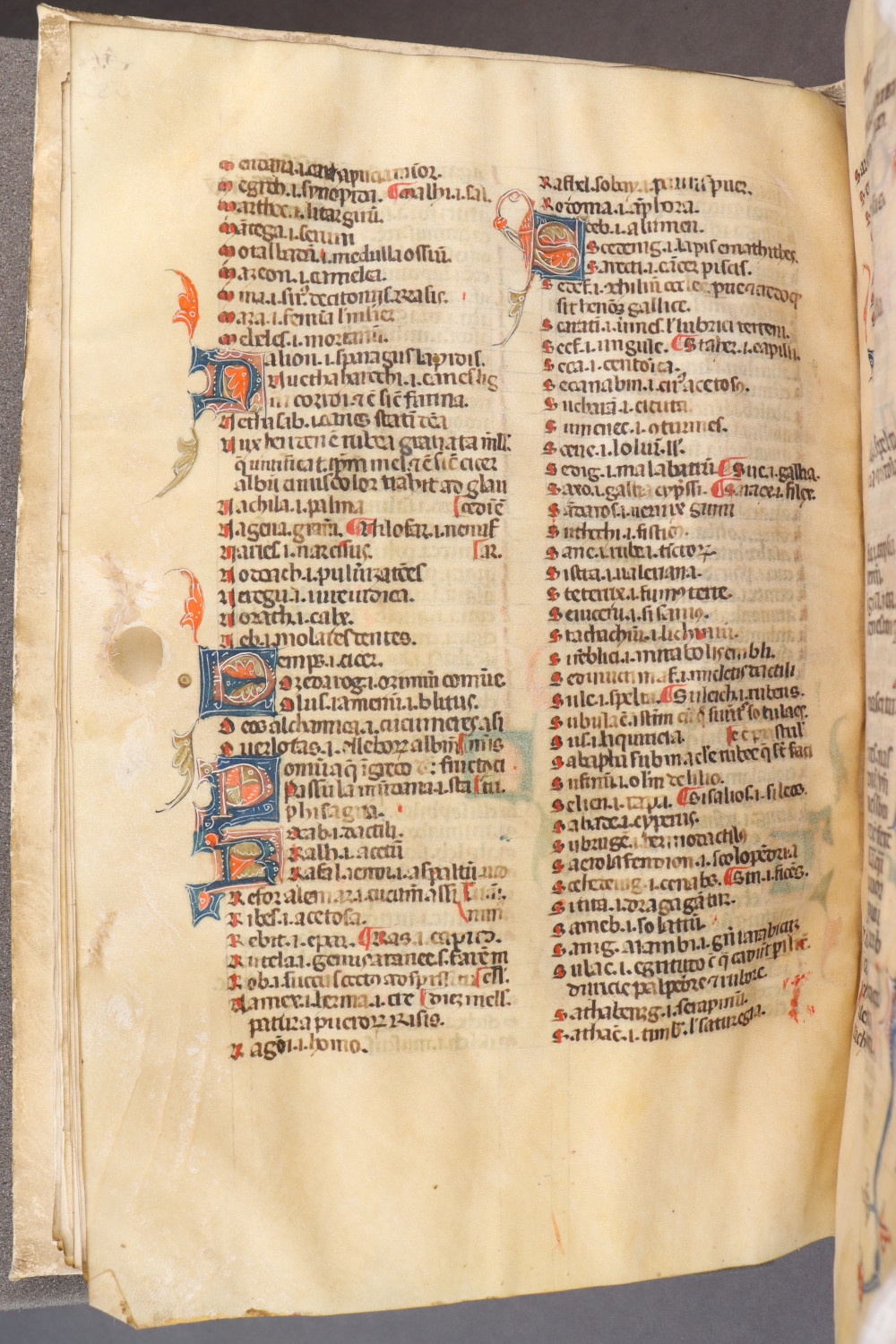 Folio 55 verso