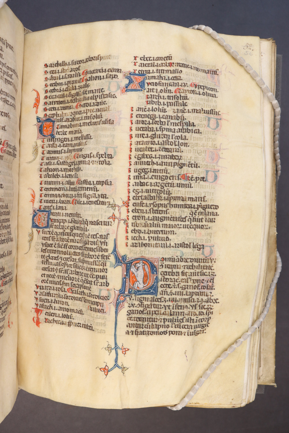 Folio 56 recto