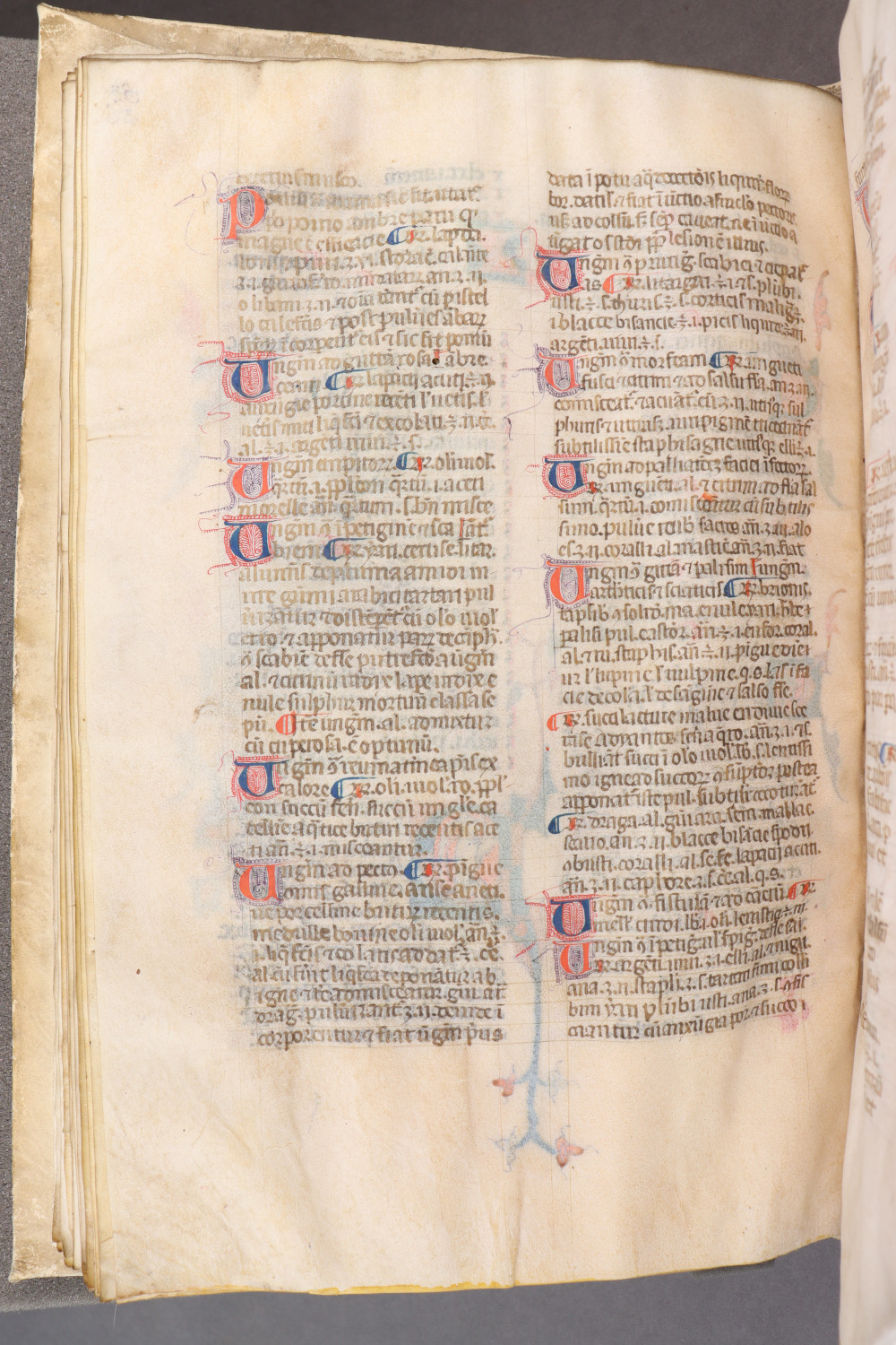 Folio 56 verso
