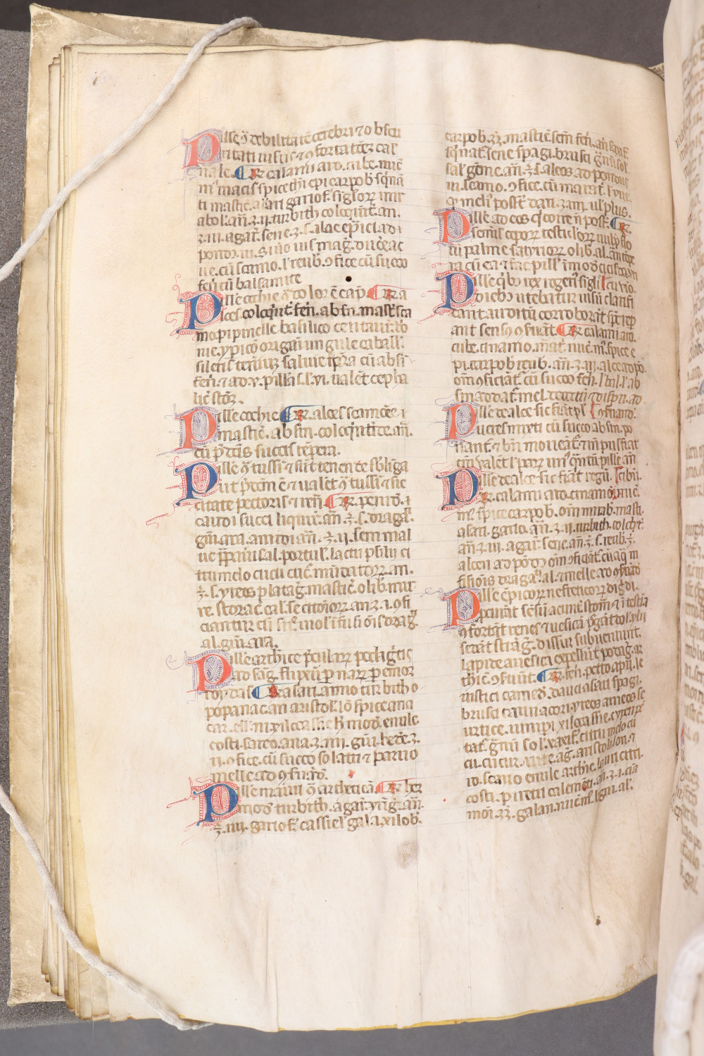 Folio 58 verso