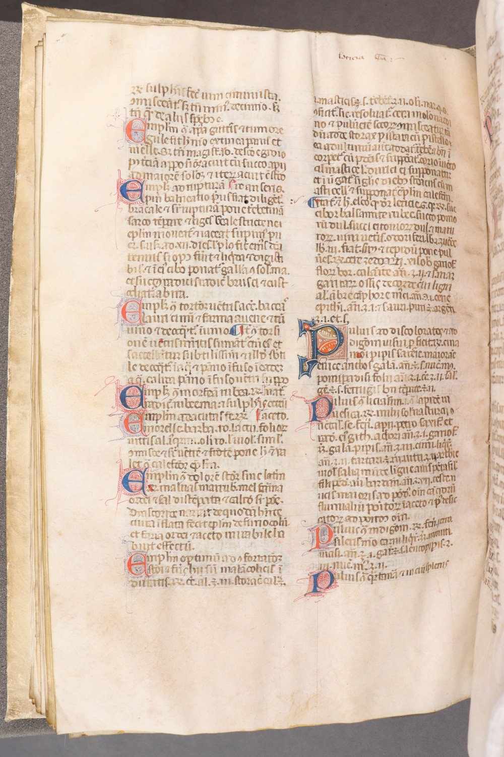 Folio 60 verso